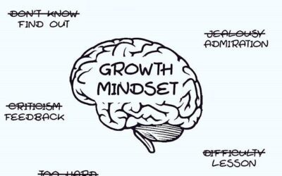 Cultivating a Growth Mindset in Education Among Teachers