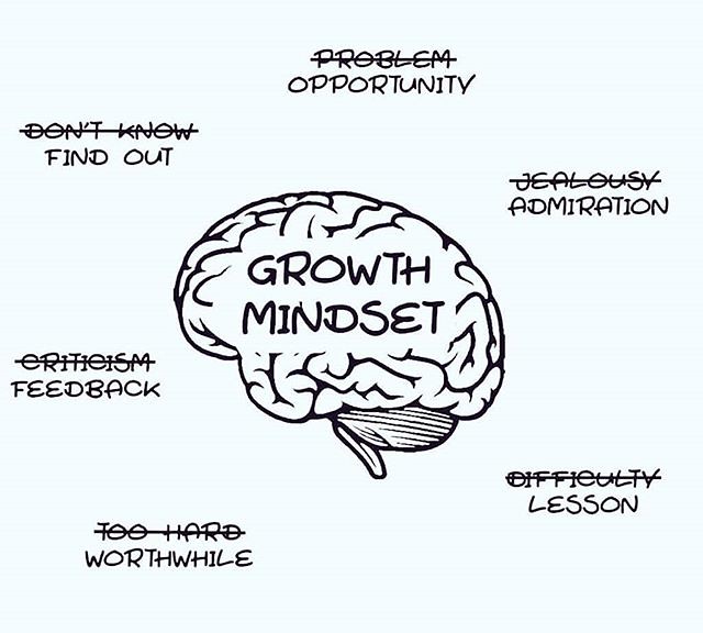 Cultivating a Growth Mindset in Education Among Teachers